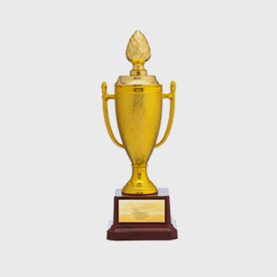 Cup Trophy 1