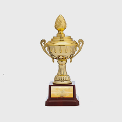 Cup Trophy 2