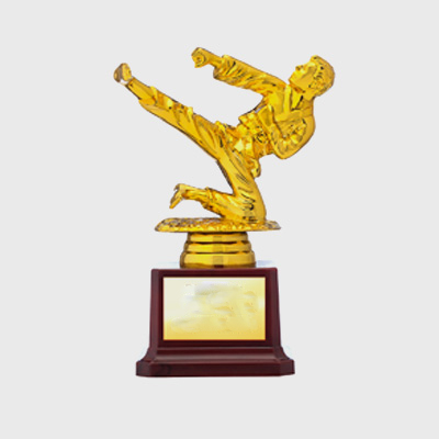Karate Trophy